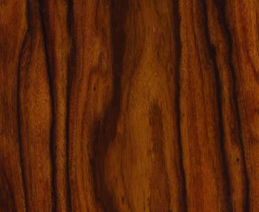 Brazilwood