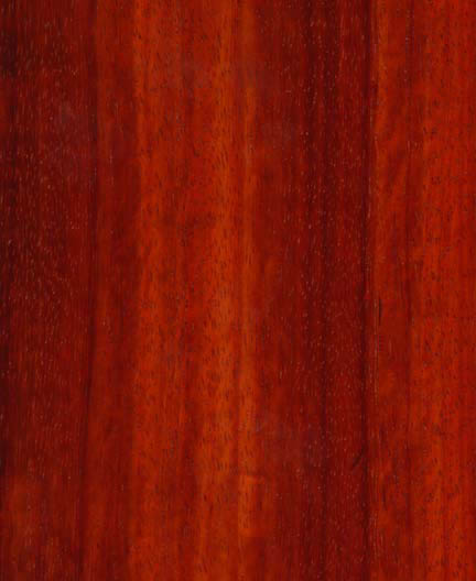 Padauk